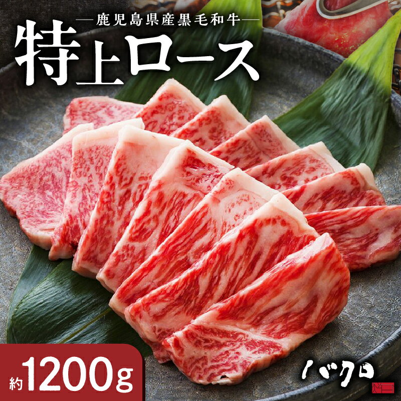 【ふるさと納税】 鹿児島黒牛 特上 ロース焼肉 約 1200g ( 600g × 2p ) 牛肉 奄美 ロース 焼肉 国産 黒毛和牛 黒毛 和牛 脂の旨み 鉄板焼き お料理 おかず 食品 黒牛 国産牛 国産牛肉 国産和牛 お取り寄せ お取り寄せグルメ 冷凍 鹿児島県 奄美市 送料無料