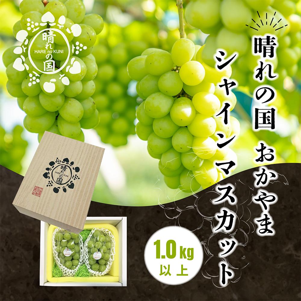 【先行予約　2025年9月上旬発送?】岡山県産シャインマスカット 1.0kg（2?3房）【021-a019】