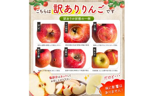 【訳あり】農家さん旬のおまかせ 約5kg【10月上旬～12月中旬頃にかけて順次発送予定】| 果物 くだもの フルーツ 林檎 りんご リンゴ 旬 おまかせ 果実 アップル 訳あり  秋映 シナノスイート