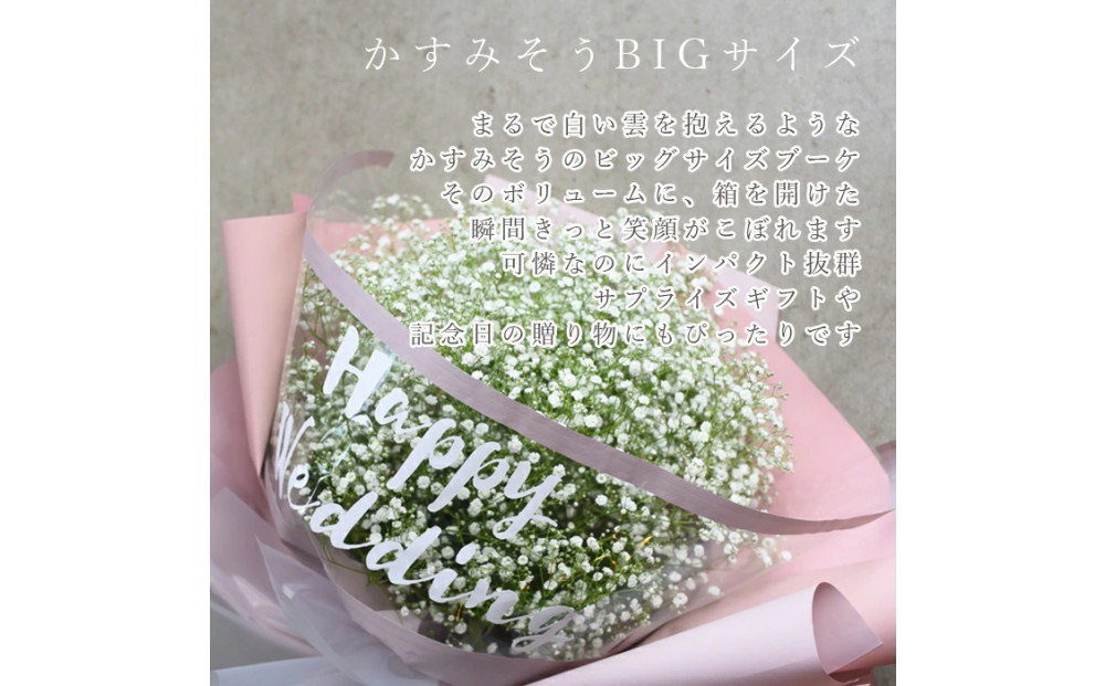 【母の日】サプライズ超BIGサイズ かすみ草ブーケ《遅れてごめんね》＜出荷開始：5/18までのお届け 当店おまかせ＞母の日カード付き【 母の日 ギフト かすみ草 花 贈り物 大阪府 門真市 】