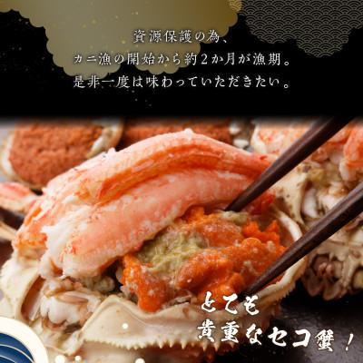 ふるさと納税 京丹後市 【先行予約】☆蟹の宝石箱☆【贅沢なカニの食べ比べ】ずわいがに&せいこがに甲羅盛 夫婦セットA |  | 03