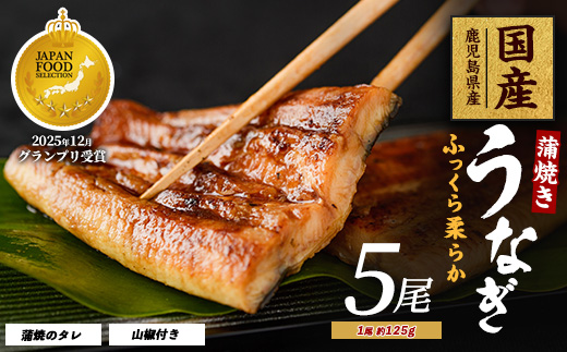 【鹿児島県産】うなぎ蒲焼じっくり焼き約125g×5尾 化粧箱入り(大新/IB021-009) 鰻 ウナギ 蒲焼 国産 丑の日 うな重 無頭 ギフト プレゼント 贈り物 贈答 惣菜 総菜 小分け レンジ 簡単 蒲焼き 冷凍 鹿児島県産