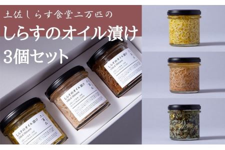 土佐しらす食堂二万匹の「しらすオイル漬け」3個セット｜オイル漬けオイル漬けオイル漬けオイル漬け