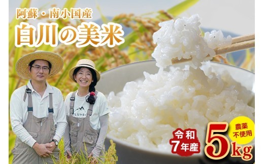令和７年産 白川の美米 ５kg 令和7年産 南小国産 玄米 白米 3分づき 5分づき 7分づき 森のくまさん 精米 米 お米 ご飯 ごはん 無農薬 農薬不使用 自然栽培 産地直送 白川自然農園 熊本 南小国 送料無料