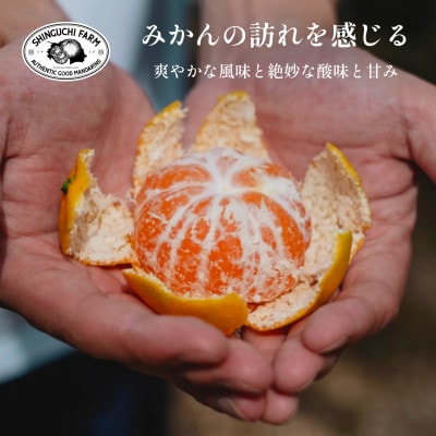 創業百八年 愛媛みかんの老舗【極早生みかん3kg】愛媛県川上産【新口農園】【B70−66】【1615054】