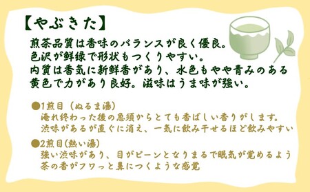 【 R8年産 】種子島 射場貴大 茶園 「さえみどり」 「あさつゆ」 「なんめい」 「やぶきた」 茶ツウ が 喜ぶ 単品 味わい セット　NFN573【300pt】// 日本茶 緑茶 希少品種 お茶 