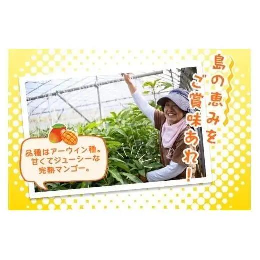 JH001《先行予約 2026年発送》宮古島産マンゴー１kg【(株)フラモン】