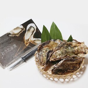 能登牡蠣 殻付牡蠣半缶/約5kg(約40～50個)専用ナイフ、片手用軍手付　※加熱用【配送不可地域：離島・北海道・沖縄県・東北・中国・四国・九州】【1033639】