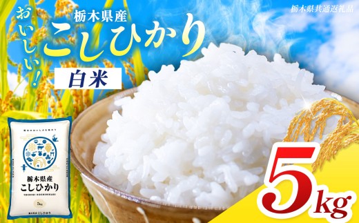 【栃木県共通返礼品】【先行予約】【令和8年度産】 訳あり 栃木県産コシヒカリ 5kg | ふるさと 納税 コシヒカリ お米 精米 白米 大粒 共通返礼品 送料無料 那珂川町 栃木県