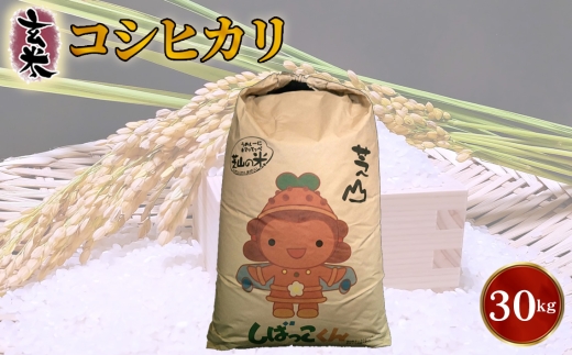 令和7年産　千葉県芝山町産　コシヒカリ　玄米30kg　色選処理済 ／ コシヒカリ 玄米 30kg 大容量 国産米 一等米 色選別済み 精米前 米ストック 家庭用 業務用 まとめ買い 千葉県 No.089