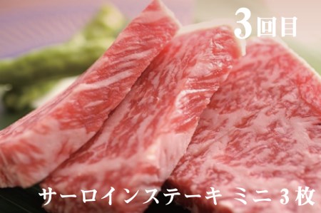 飛騨牛"極" 4か月 定期便 焼肉・しゃぶしゃぶ・ステーキ・すき焼き 堪能コース 飛騨牛 肉 和牛[Q107]
