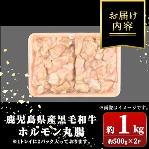 【A01037】鹿児島県産黒毛和牛 ホルモン 丸腸 (計約1kg・約500g×2P) 鹿児島 国産 九州産 黒毛和牛 牛肉 ホルモン 牛ホルモン 生ホルモン モツ 丸腸 マルチョウ 真空パック 個包装
