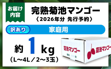 【2026年発送分 先行予約】 【訳あり】 【数量限定】　菊池マンゴー約1kg（2～3玉） L〜4Lサイズ　マンゴー マンゴー マンゴー マンゴー マンゴー [AYDF001]