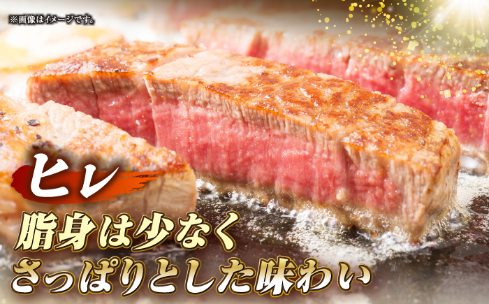 【全3回定期便】長崎和牛 サーロイン ヒレ ステーキセット 各1枚 《壱岐市》【KRAZY MEAT】 A5 A4 冷凍 和牛 肉 牛肉 BBQ 詰め合わせ 贈り物 [JER133]