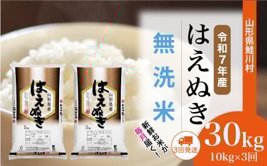 ＜令和7年産米＞ はえぬき 【無洗米】 定期便 30kg （10kg×1ヶ月間隔で3回お届け）＜配送時期選べます＞　山形県鮭川村