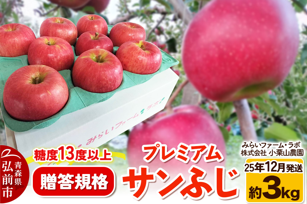 【25年12月発送】りんご 糖度13度以上【贈答規格】プレミアム サンふじ 約3kg
