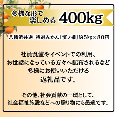 特選みかん「濱ノ姫」計400kg(約5kg×80箱)【H08−81】【1510459】