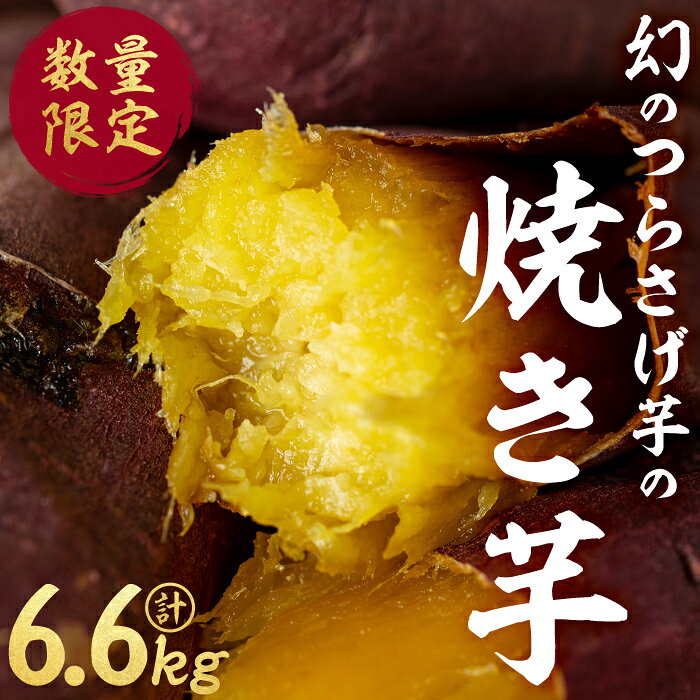 【ふるさと納税】【数量限定】〈先行予約〉つらさげ芋の 焼き芋(550g×12P) 計6.6kg さつまいも おやつ さつま芋 サツマイモ お菓子 産地直送 お取り寄せ 数量限定 紅はるか 高級 和スイーツ 焼き芋 やきいも 焼芋 贈答用 【森人くらぶ】E5-1908