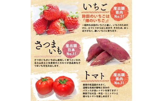 【12月～3月発送】 さつまいも 紅はるか シルクスイート 計5kg 生芋 土付き サツマイモ べにはるか さつま芋 甘藷 いも 芋 イモ 野菜 おやつ 泥付き 旬 産地直送 農家直送 茨城県 鉾田市 カミナリ 山一ファーム