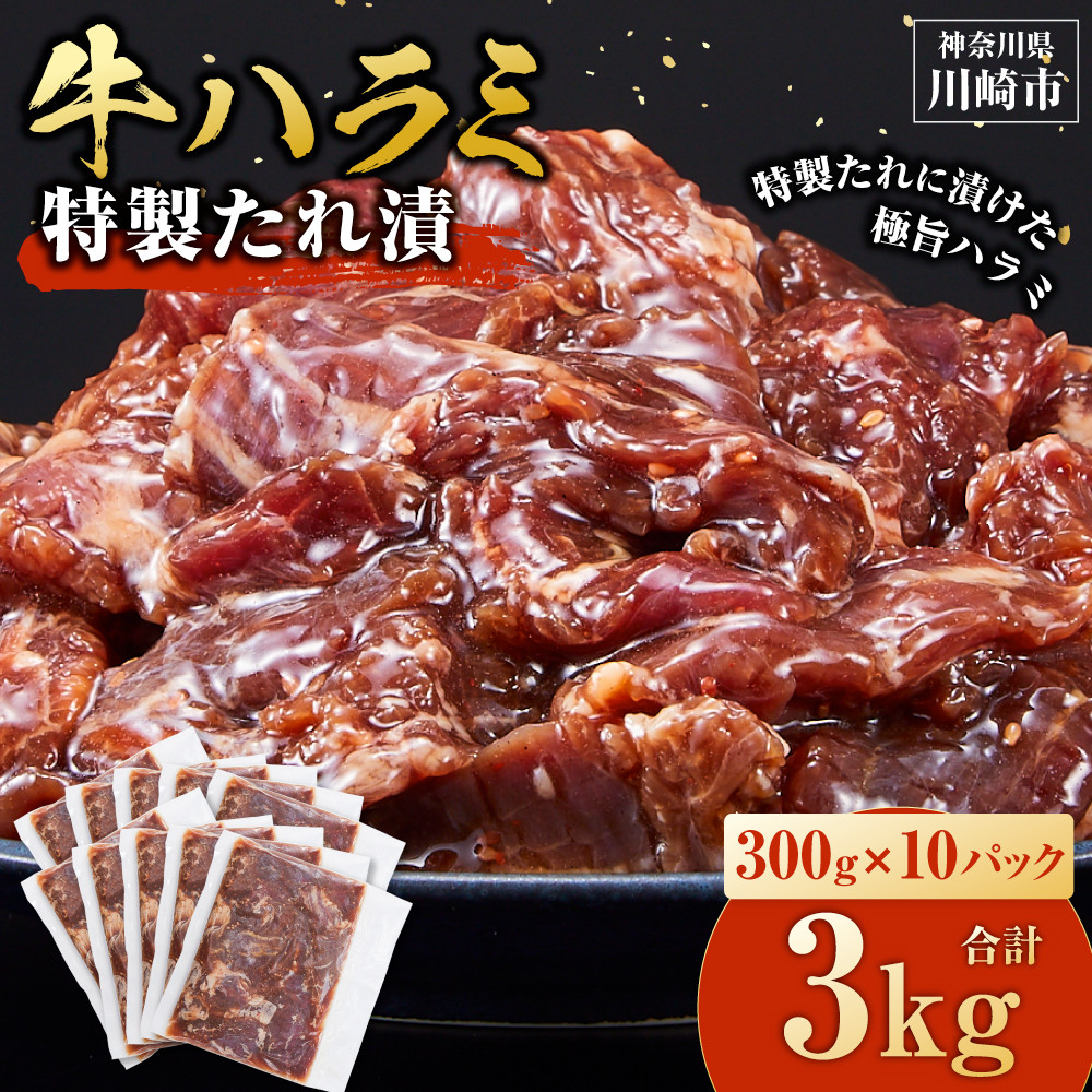＜訳あり＞牛ハラミ　特製たれ漬　3.0kg【順次発送】【kw0096-0978】