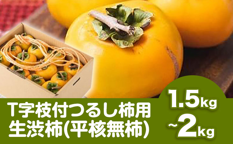 【2026年先行予約】T字枝付つるし柿用生渋柿 1.5〜2kg ふるさと農園《10月中旬～11月上旬頃発送予定》
