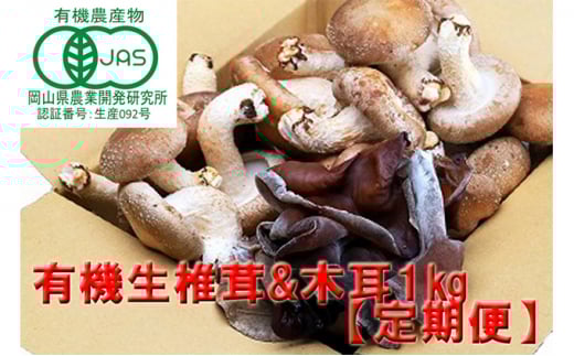 【 産地直送 】 有機JAS 生椎茸 800g ＆ 生きくらげ 200g 定期便 6ヶ月 オーガニック しいたけ 椎茸 きくらげ きのこ 野菜 岡山県 玉野市 栽培期間中化学肥料不使用 栽培期間中農薬不使用