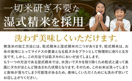 【12ヶ月定期便】阿蘇びより 無洗米 5kg (5kg×1袋)《お申込み月の翌月から出荷開始》｜国産米 人気米 熊本県産米 お米 生活応援米---mna_abytei_5kg_174000_mo12_
