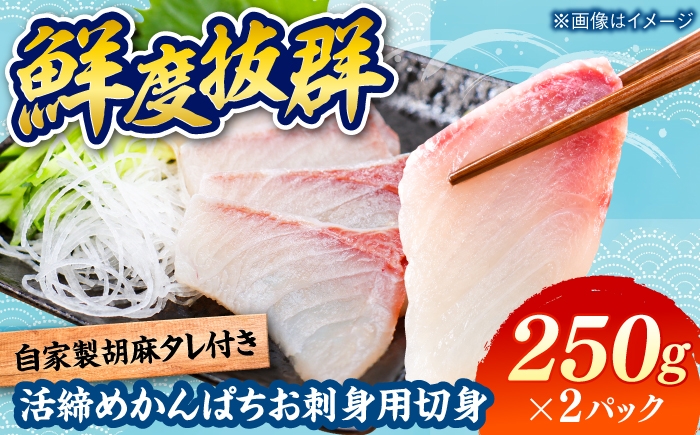 
                  活締め かんぱち お刺身用 切身 250g×2パック / 刺身 海鮮 カンパチ 魚 / 糸島市 / 塚本鮮魚店 [ARO011]
                