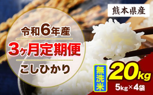 【3ヶ月定期便】令和6年産 定期便 こしひかり 20kg 無洗米 阿蘇 うぶやま 米 定期便 熊本県産 ふるさと納税 精米 ひの 米 こめ ふるさとのうぜい コシヒカリ コメ お米 おこめ《申込み翌月から出荷》