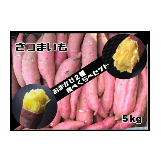 【ふるさと納税】≪飯能産≫さつまいも おまかせ2種食べ比べセット[52210208] 野菜 サツマイモ 　お届け：2025年10月中旬～2026年7月上旬（発注後、1～2週間程度）