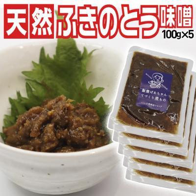 ふるさと納税 飯豊町 ふきのとう味噌　100g×5袋