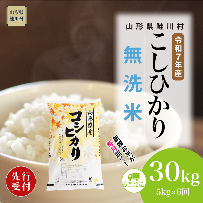 ＜令和7年産米先行受付＞ 鮭川村産 こしひかり 【無洗米】30kg定期便 (5kg×6回)　配送時期指定できます！
