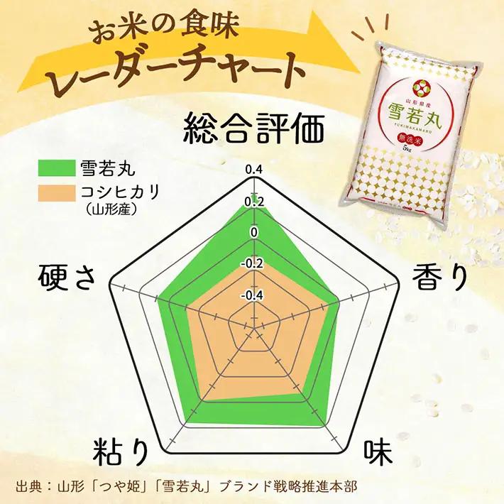 特A 山形県産 雪若丸 無洗米 20kg 5kg×4袋 令和7年産 2025年産 ブランド米 米 国産 単一原料米 山形 庄内平野