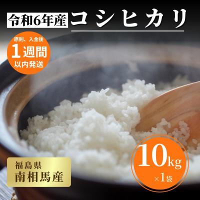 ふるさと納税 南相馬市 【令和6年産】福島県産コシヒカリ 白米 10kg×1袋  精米 南相馬産【153484-001-02】