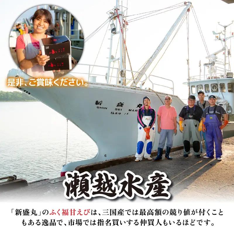 先行予約 新鮮 ふく福甘えび（生）600g 2026年9月上旬以降順次発送予定 冷蔵発送 エビ 海老 [A-13562]