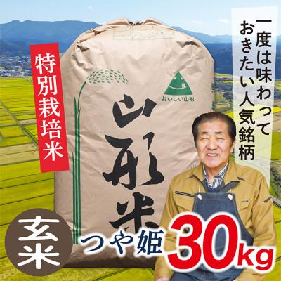 ふるさと納税 最上町 【玄米】令和7年産山形県産特別栽培米　つや姫30kg