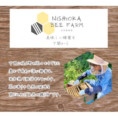 ふるさと納税 下関市 【しものせきの百花和蜜】 はちみつ ニホンミツバチはちみつ 240g 120g2個 NB002 |  | 01