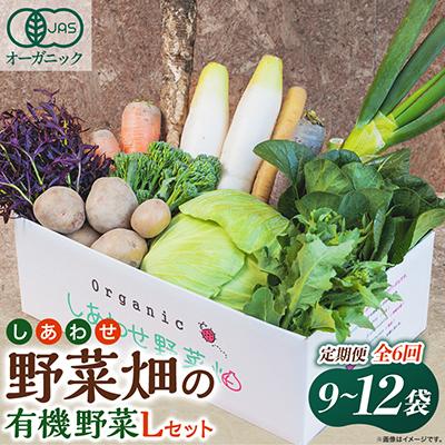 ふるさと納税 掛川市 【毎月定期便】しあわせ野菜畑の有機野菜　Lセット　(安心の有機JAS認証　オーガニック野菜)全6回