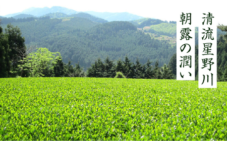 奥八女星野村 深蒸し高級煎茶(深蒸し茶)100g×1袋《築上町》【株式会社ビーキューブ】 八女茶 [ABDF024] おすすめお茶 こだわりお茶 自宅用お茶 人気お茶 贈答用お茶 お茶リーフ 八女のお