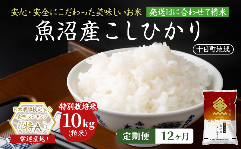 【令和8年産 先行予約】【12ヶ月定期便】特別栽培米 魚沼産こしひかり(十日町地域) 精米 10kg(5kg×2) 米 お米 コシヒカリ 定期 十日町市