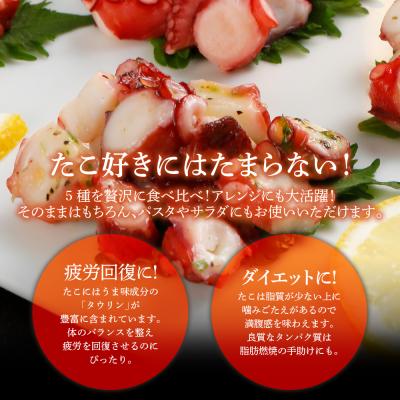 ふるさと納税 古賀市 彩りたこづくしセット【(株)カイセイ】 |  | 03