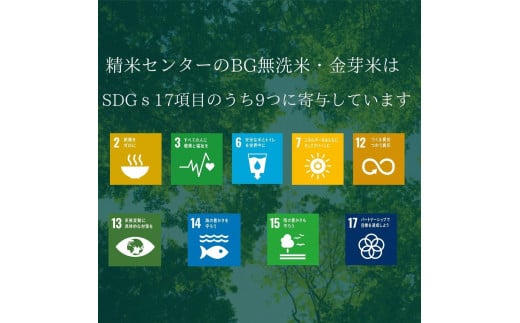 BG無洗米コシヒカリ 5kg×3ヵ月 定期便【毎月】【新米 令和7年産 愛を米 時短 BG 無洗米 こしひかり 島根県産 新生活応援 お試し 節水 アウトドア キャンプ 東洋ライス 】