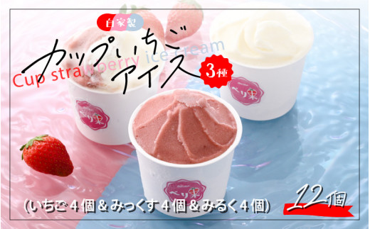 自家製カップアイス3種セット（いちご 4個 & みっくす 4個 & みるく 4個） [A-045003]