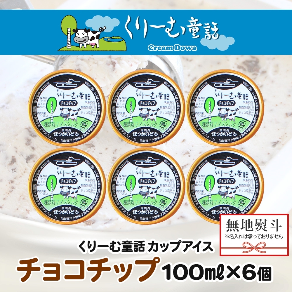 2347. 無地熨斗 くりーむ童話 カップアイス チョコチップ 100ml×6個 アイスクリーム アイス スイーツ 牛乳 ミルク 贈り物 ギフト プレゼント 詰め合わせ 送料無料 北海道 弟子屈町_イ