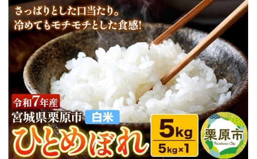 【白米】令和7年産 宮城県栗原産 ひとめぼれ 5kg（5kg×1袋）さっぱり モチモチ おにぎり お弁当