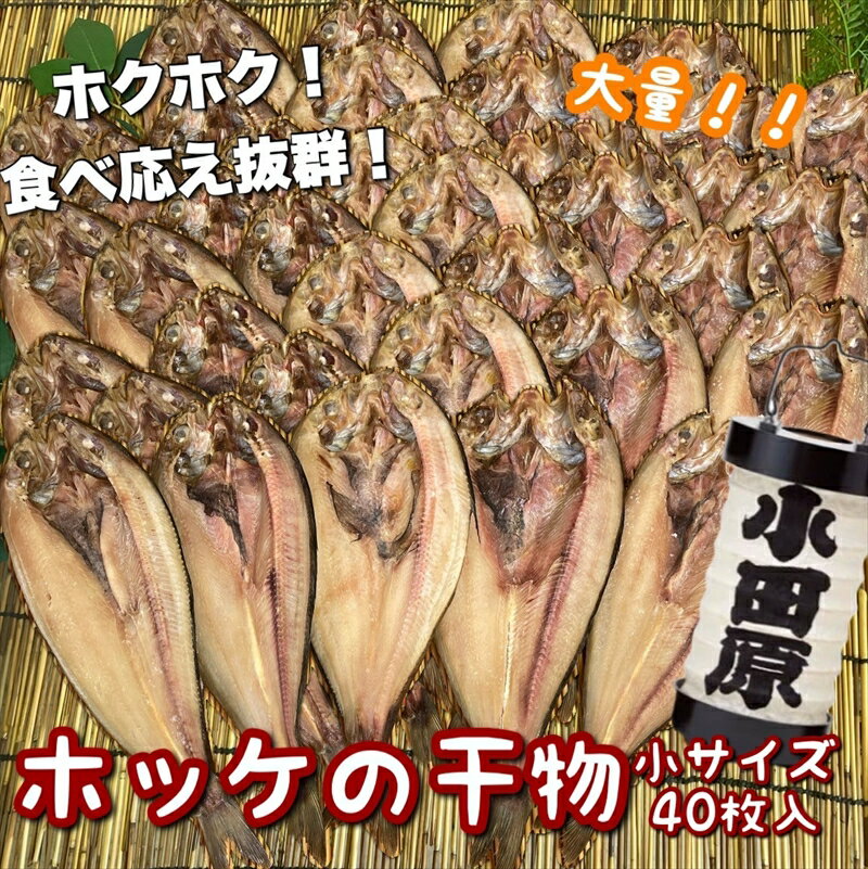 【ふるさと納税】真ほっけの干物 小サイズ 40枚セット【 神奈川県 小田原市 】