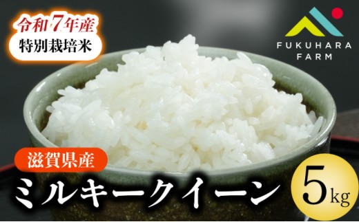 ミルキークイーン 5kg 特別栽培米 令和7年産 先行受付 新米 米 精米 こめ コメ お米 ご飯 米 ミルキー 先行受付 5キロ 令和7年 2025年10月下旬より発送開始 滋賀 彦根