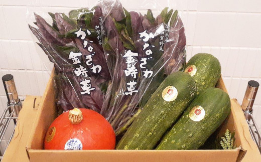 
                  旬を味わう！石川県産の野菜セット
                