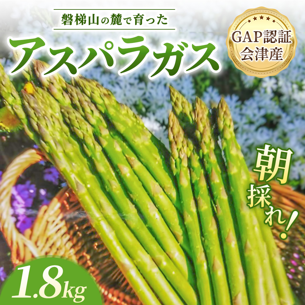 【朝採れ 当日発送】磐梯山の麓で育った アスパラガス 1.8kg （Lサイズ） | 甘い 生産者直送 産地直送 野菜 ※2026年4月中旬～10月中旬頃に順次発送予定 ※沖縄・離島への配送不可