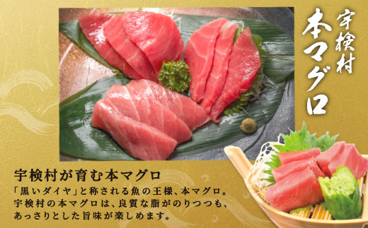 奄美大島 宇検村 本マグロ ( 大トロ 中トロ ) 400g 簡単 お刺身 セット 今が旬 柵 冷凍 宇検村産 鮪 まぐろ 海鮮 刺し身 さしみ 生食用 鹿児島県 奄美大島 宇検村